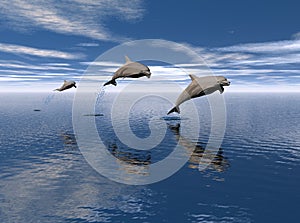 Dolphins jumping out of water