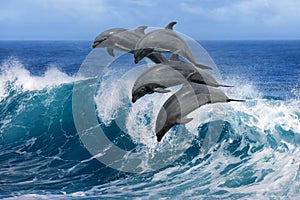 Dolphins jumping over waves