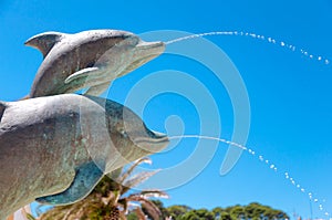 Dolphins at Mali Losinj