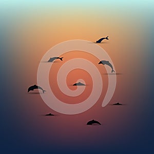 Dolphins over the water at sunset, seascape. Minimalistic scenery. Vector