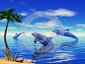 Dolphins playing