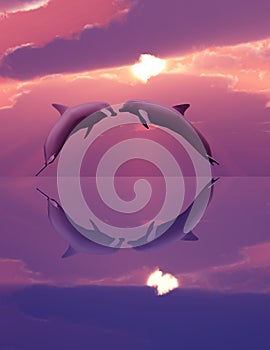 Dolphins playing in the sunset