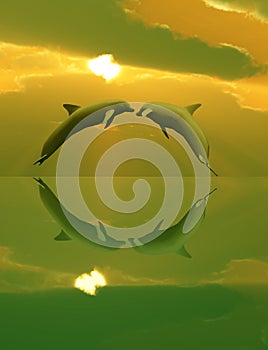 Dolphins playing in the sunset