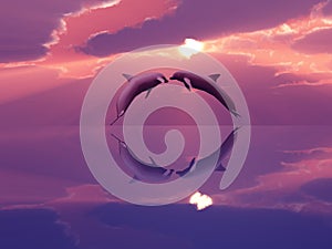 Dolphins playing in the sunset