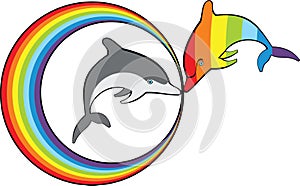 Dolphins and rainbow