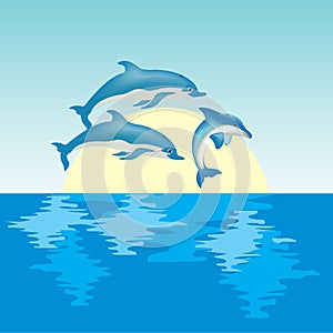 Dolphins on sunrise