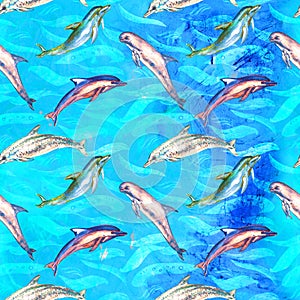 Dolphins variety: common bottlenose, Short-beaked, Atlantic Spotted and Risso`s, seamless pattern on bright blue ocean surface