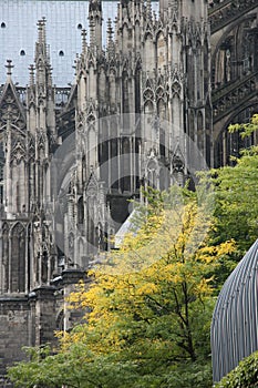 Dom in Koln