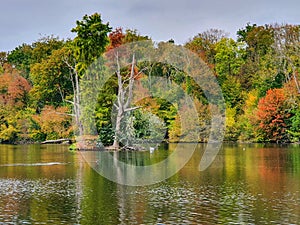 Domaine of Chantilly, view of the Chantilly forest in the autumn seanson, France