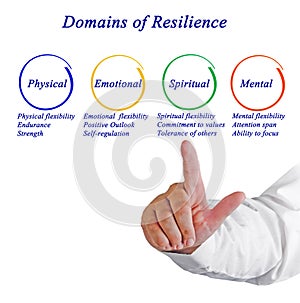 Domains of Resilience