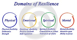 Domains of Resilience