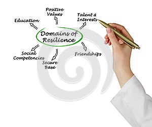 Domains of resilience