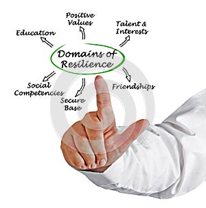 Domains of resilience