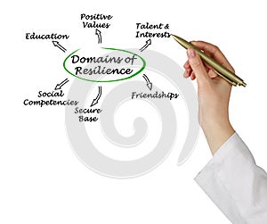 Domains of resilience photo