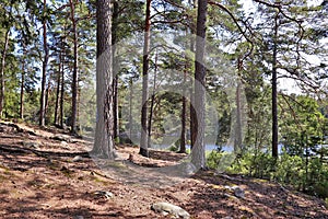 Domarudden nature reserve in Stockholm County