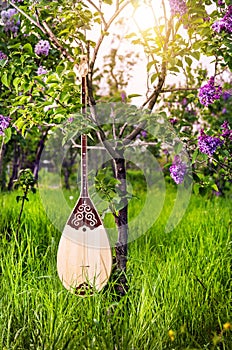 Dombra kazakh instrument