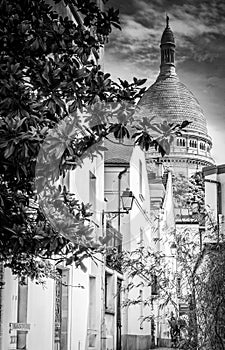 The Dome of The Basilica of the Sacred Heart of Paris