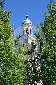 Dome of a belfry of Holy Trinity Cathedral the 18th century among trees. Poshekhonje, Yaroslavl region