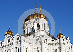Dome of the Cathedral of Christ the Savior