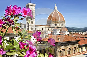 Dome of cathedral church Santa Maria del Fiore close up at spring day, Florence, Italy, retro toned