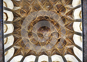 Dome of Chehel Sotun Palace