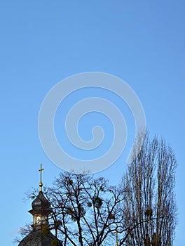 Dome of the Christian church can see ot the trees against the bl