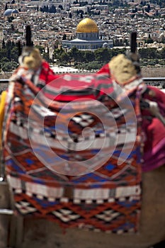 Camel Hump & Dome of the Rock