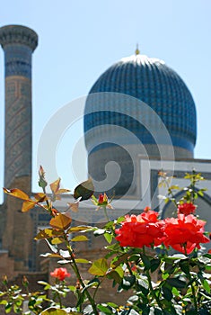 Dome of the Sher-Dor with flowers