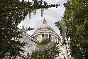 Dome of St Paul's Cathedral Seen Through the Trees