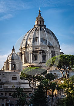 Dome of St. Peter`s Basilica during sunny weather. Green trees, blue sky and Sain Peter`s Basilica in Vatican