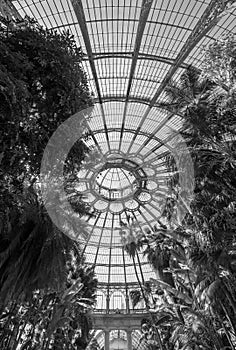 The domed ceiling of the Winter Garden, part of the Royal Greenhouses at Laeken, Brussels, Belgium.