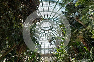The domed ceiling of the Winter Garden, part of the Royal Greenhouses at Laeken, Brussels, Belgium.