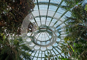 The domed ceiling of the Winter Garden, part of the Royal Greenhouses at Laeken, Brussels, Belgium.