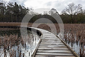 Kelchterhoef park which is a wonderful family-friendly walking park located in Wijers, Limburg, Belgumoef is a wonderful family-fr photo