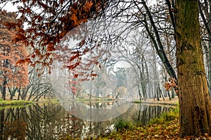 Domeniul Stibei Bucharest Romania beautiful autumn lake reflection forest trees domain
