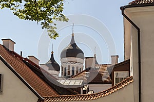 Domes  of the Alexander Nevsky Cathedral Tallinn.