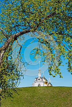 Domes of the Assumption Cathedral in the city of Dmitrov.