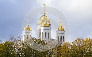 Domes of the Cathedral of Christ the Saviour