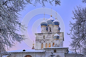 Domes of Kazan Church Framed by Trees in Winter Twilight Kolomenskoye