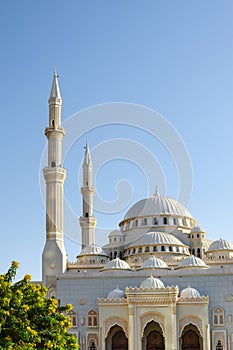 Domes and minarets of a mosque, Dubai United Arab Emirates