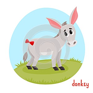 Domestic animal donkey in cartoon style isolated on white.