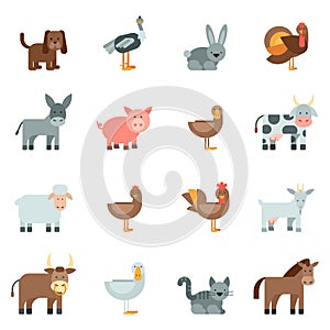 Domestic Animal Flat Icons Set