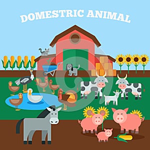 Domestic Animals Concept