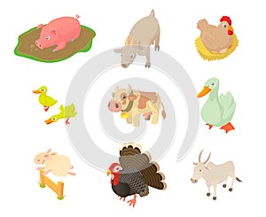 Domestic animals icon set, cartoon style