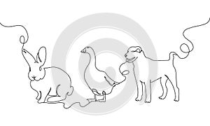 Domestic animals one line set. Continuous line drawing of goose, dog, rabbit, hare.