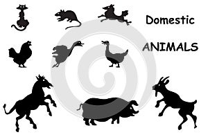 Domestic animals silhouettes