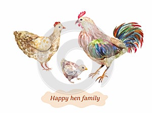 Domestic bird family. Hen, cock and chick. Vector watercolor illustrati