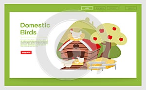 Domestic birds landing page template. Poultry farming  website interface idea with flat illustrations. Chicken farm, hennery