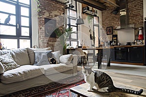 Domestic cat at cozy contemporary apartment living room interior vintage style.