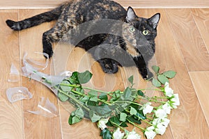 Domestic cat dropped and broken glass vase of flowers.